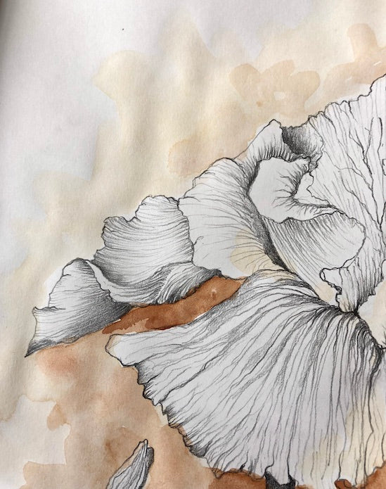 Learn Like A Master: Watercolours