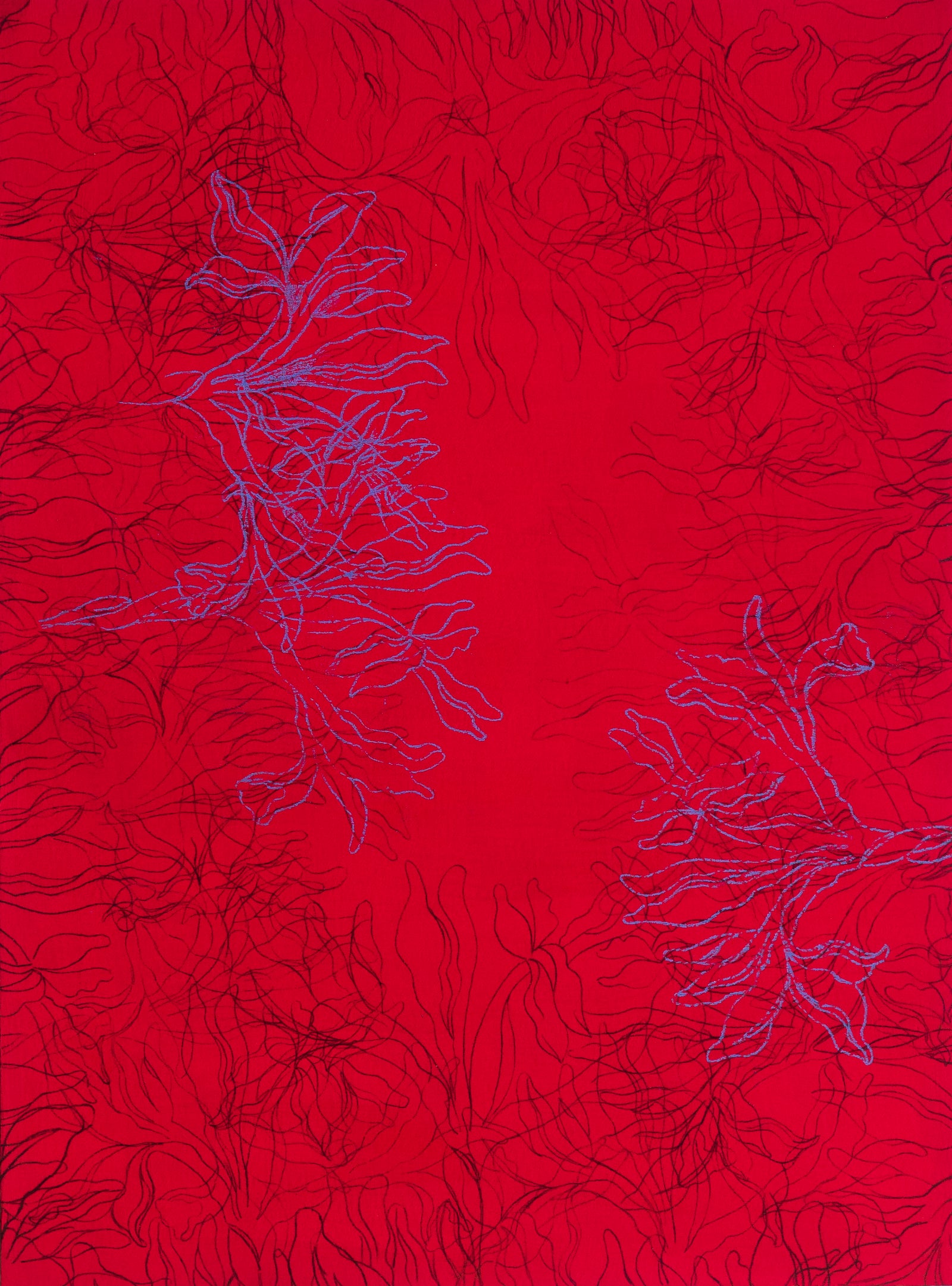 Umeed (Hope) IX_Limited Edition