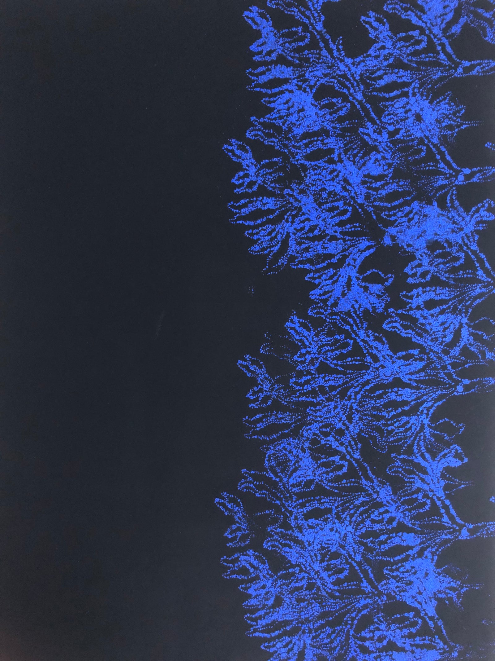 Tazad II_Detail II_Limited Edition