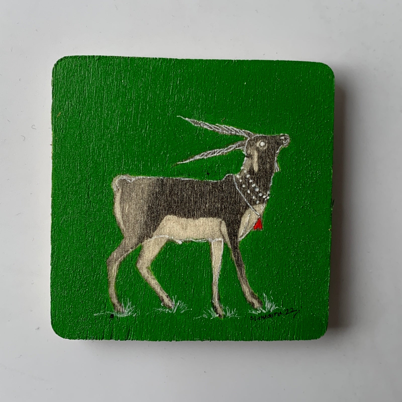 08_ Black Buck_Magnet