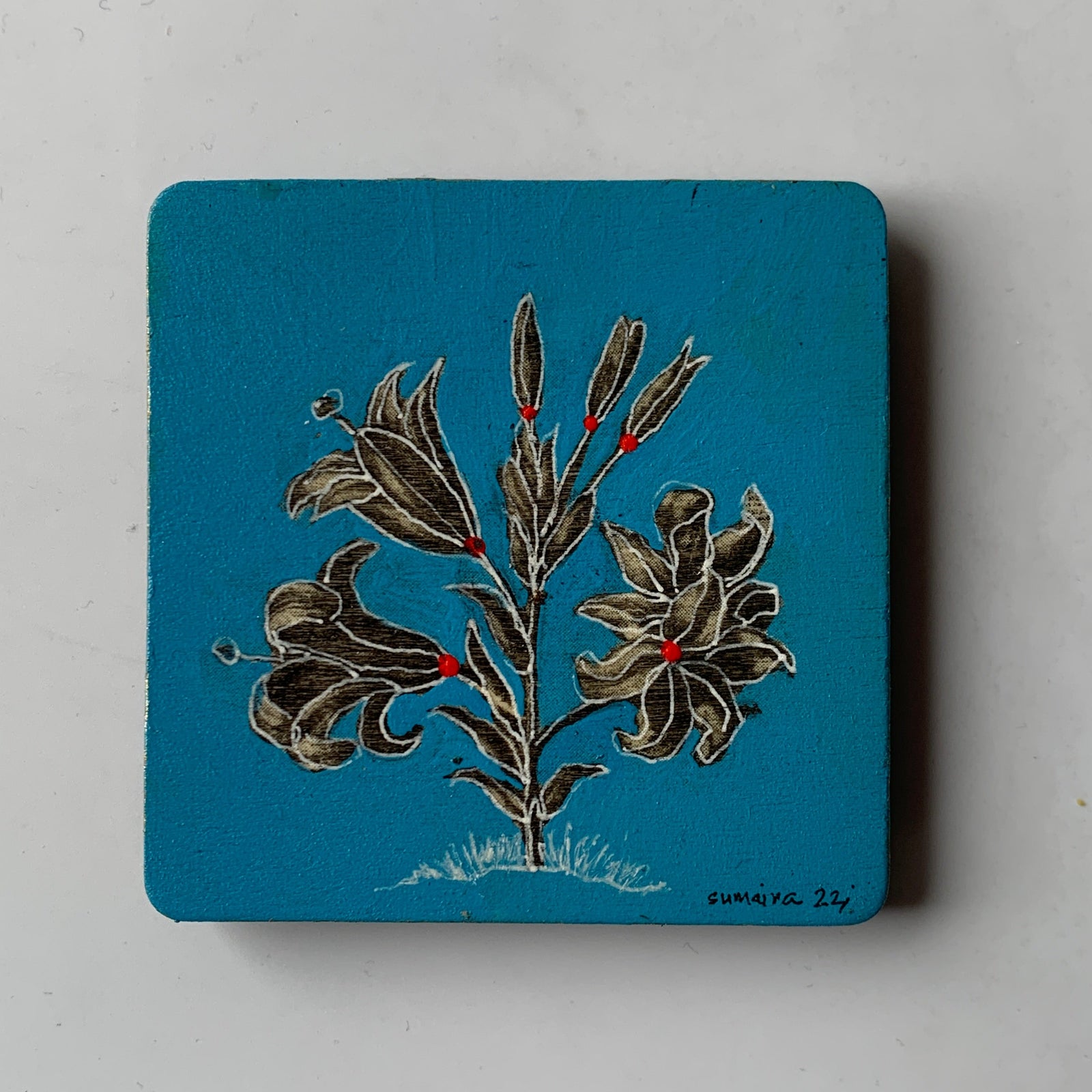 09_ Spring II_Magnet